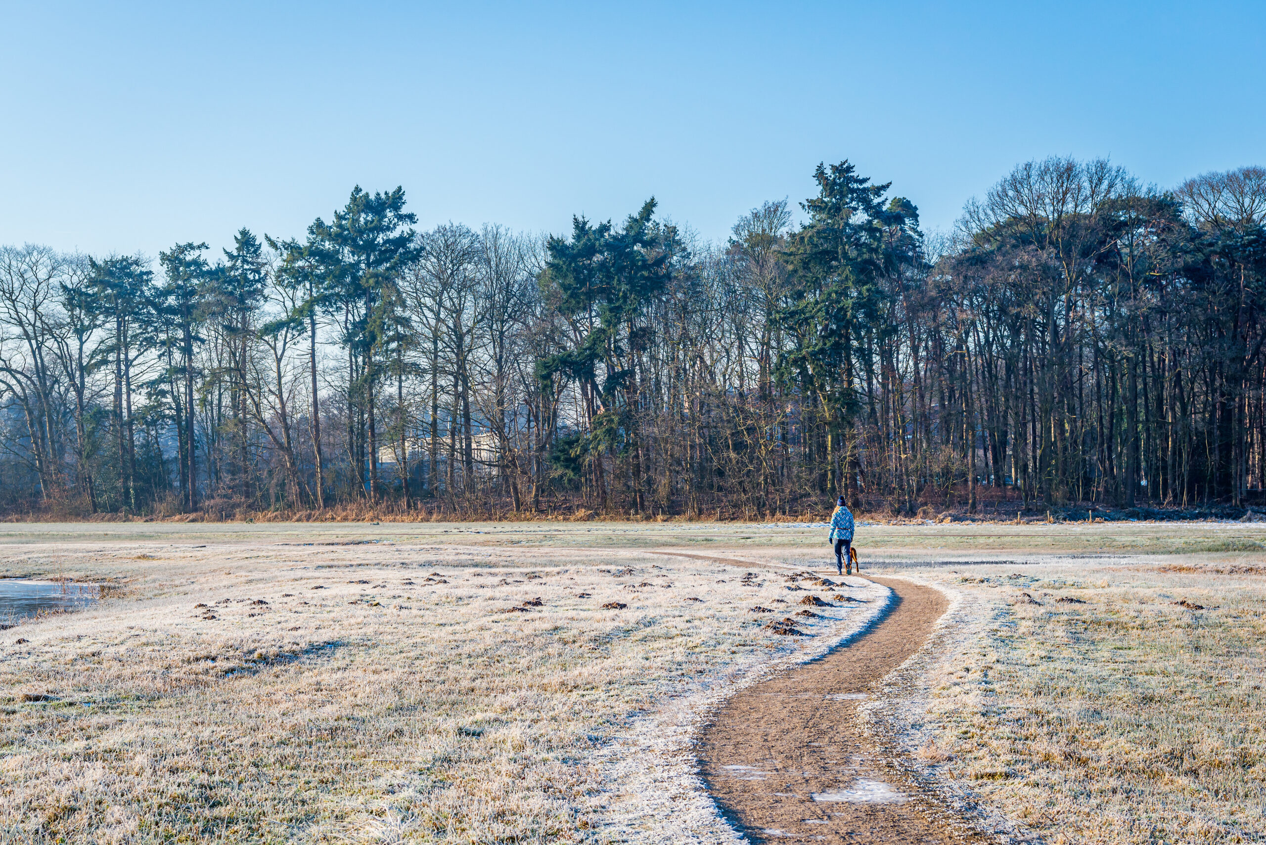 Hemant (Early Winter)