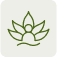 Holistic Healing Icon